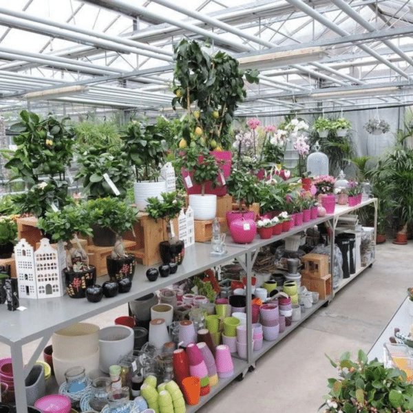 Fleurs & plantes de saison