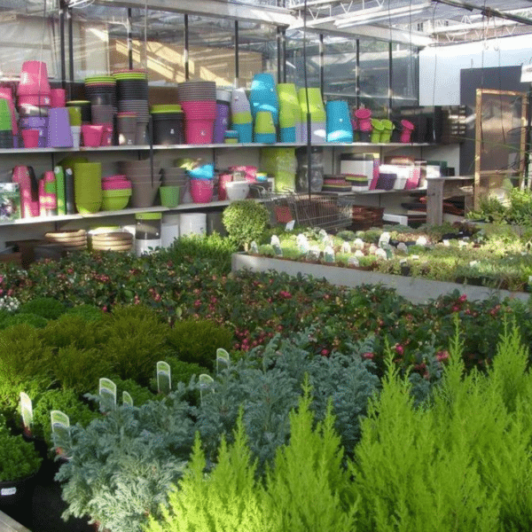 Fleurs & plantes de saison